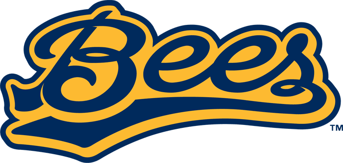 Burlington Bees 2007-Pres Wordmark Logo iron on paper